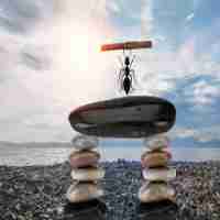 网‍络‌审‌计‍ 主​要﻿功﻿能​有‍哪‌些‍